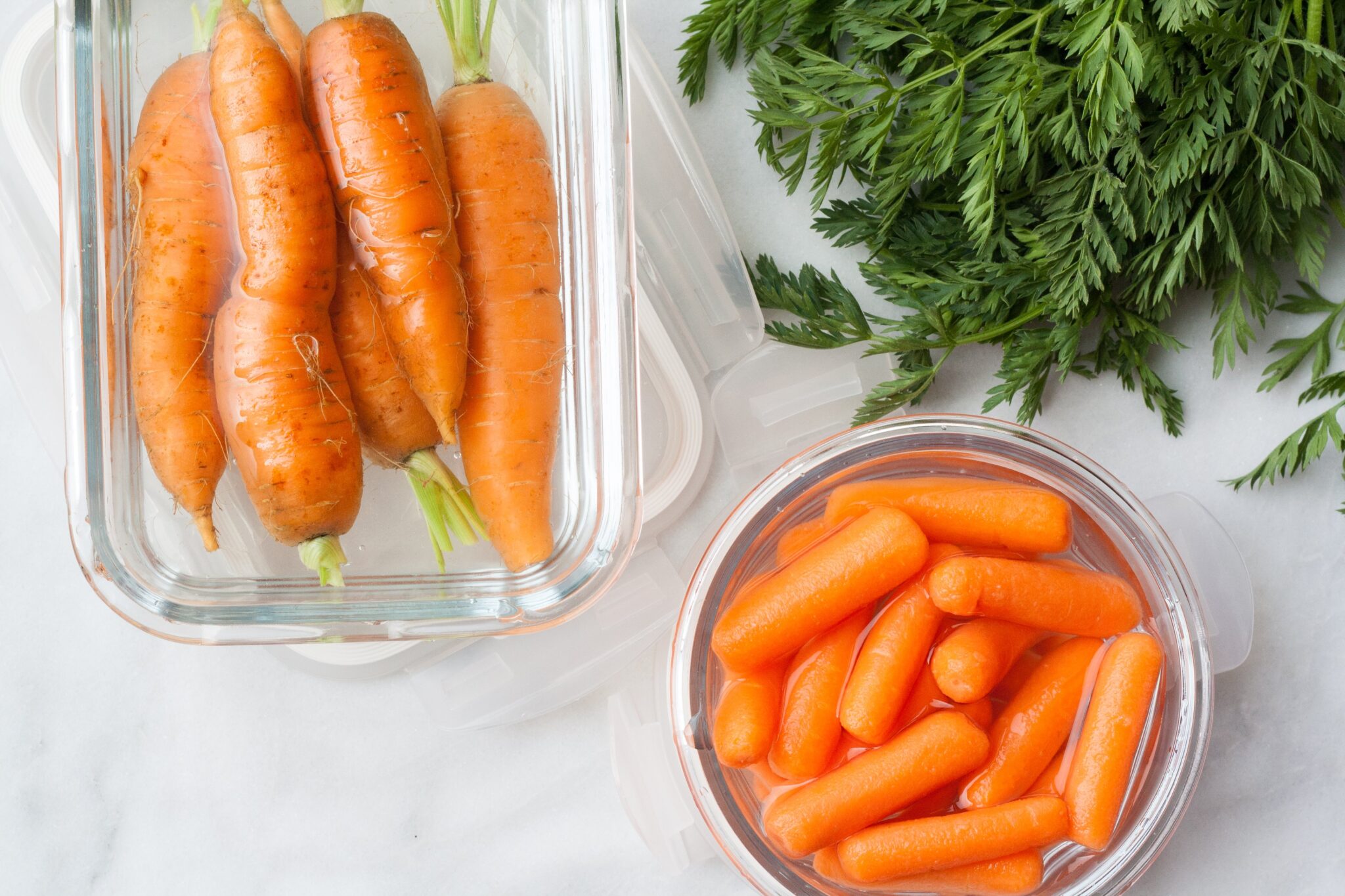 5 Common Ways How to Store Carrots