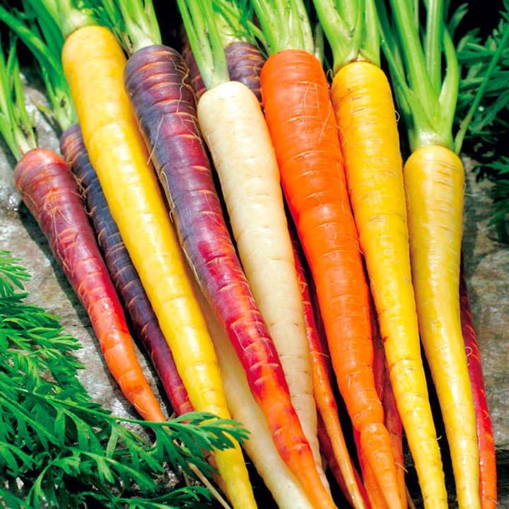 heirloom carrots