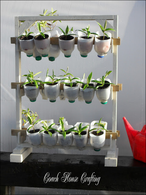 diy indoor herb greenhouse space saver leavesnbloom