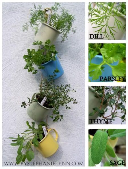 diy indoor herb hanging coffee cup herb garden bystephanielynn