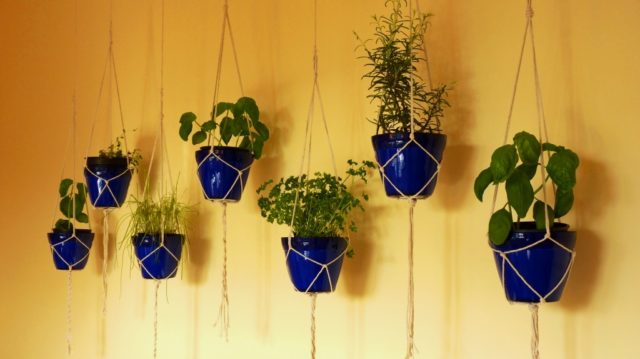 diy indoor herb indoor hanging herb garden MACRAME