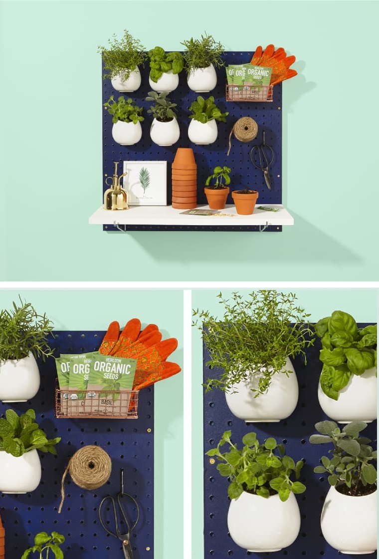 diy indoor herb pegboard as an herb garde thekitchn