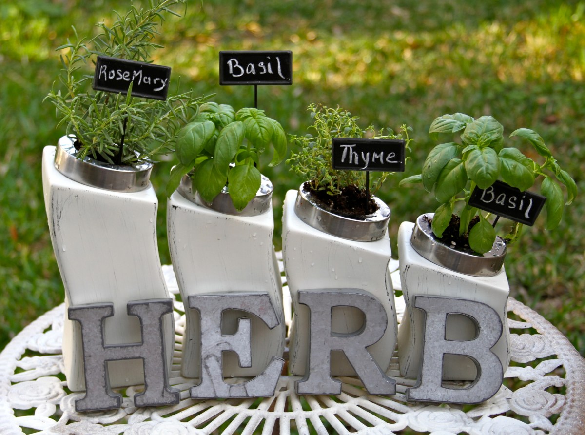 diy indoor herb spice holder herb garden thechelleproject