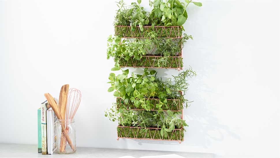 diy indoor herb spice rack herb garden worldmarket