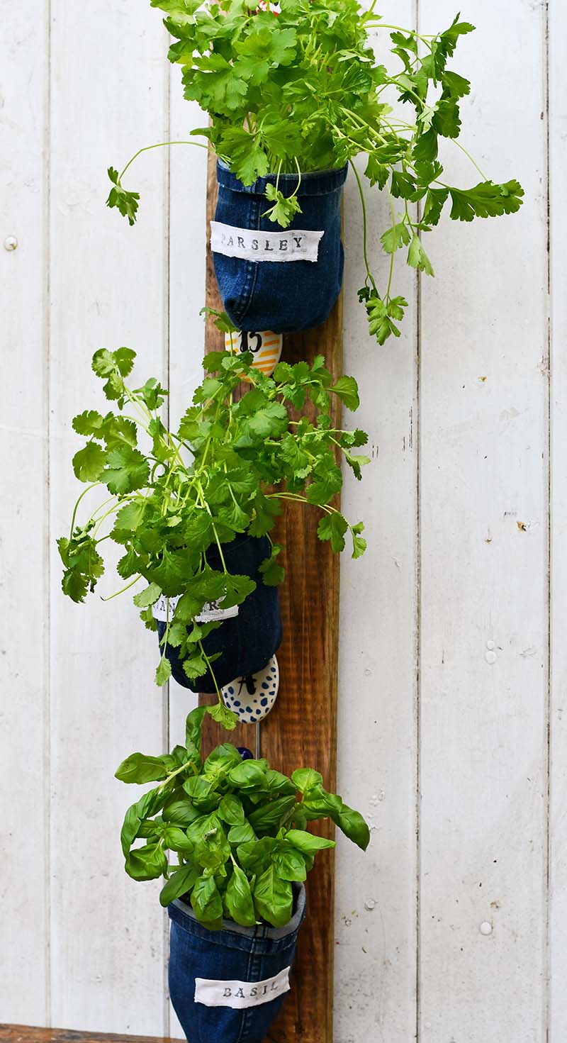 diy indoor herb vertical denim