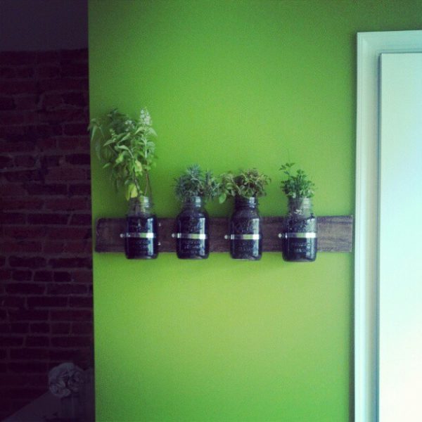 diy indoor herb wall mounted herb garden capitolromance