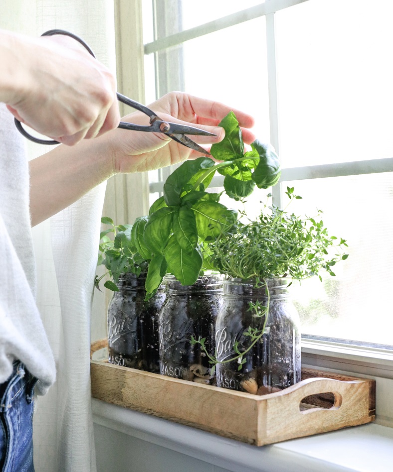 diy indoor mason jar herb garden hellonest