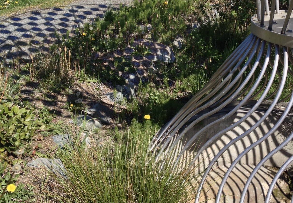 Culvert Landscaping