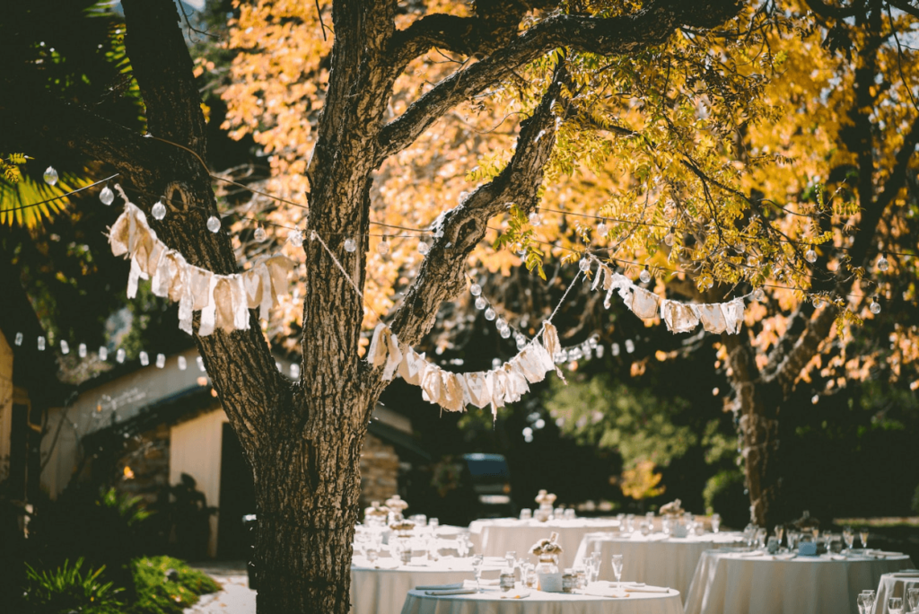 Backyard Entertaining