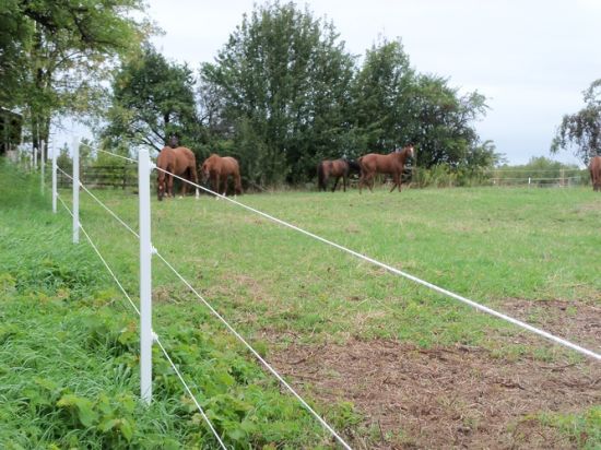 Electric Fencing