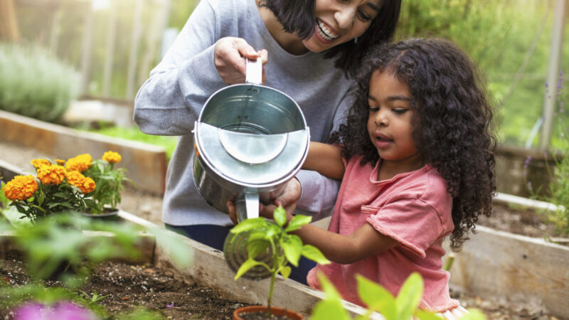 Growing Plants