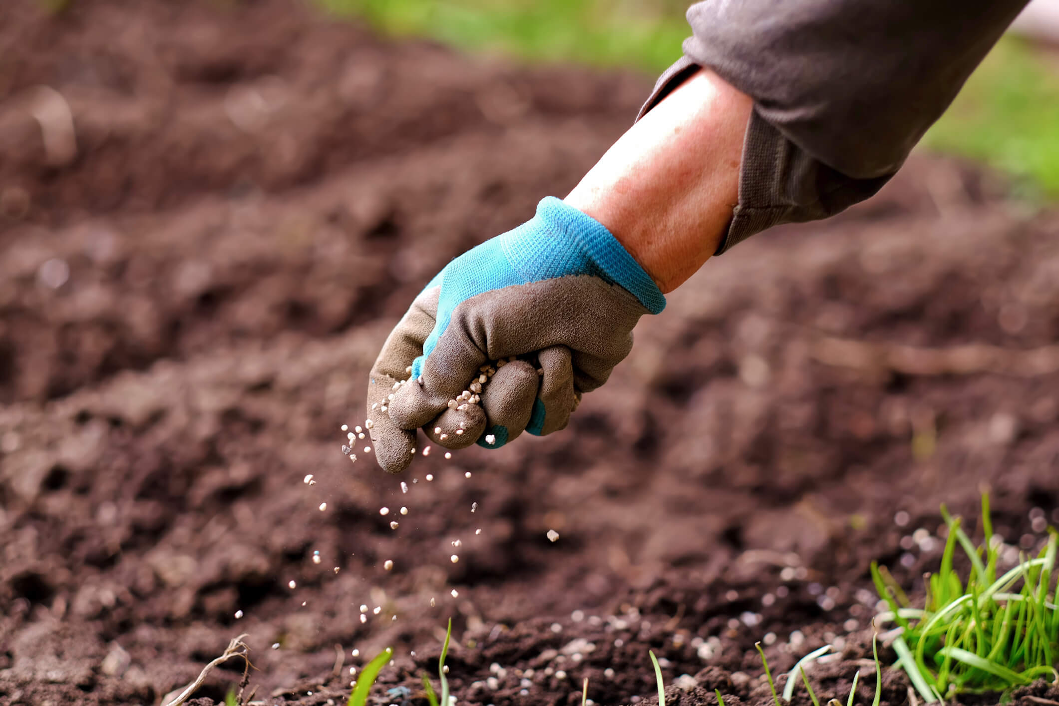 Fertilizing