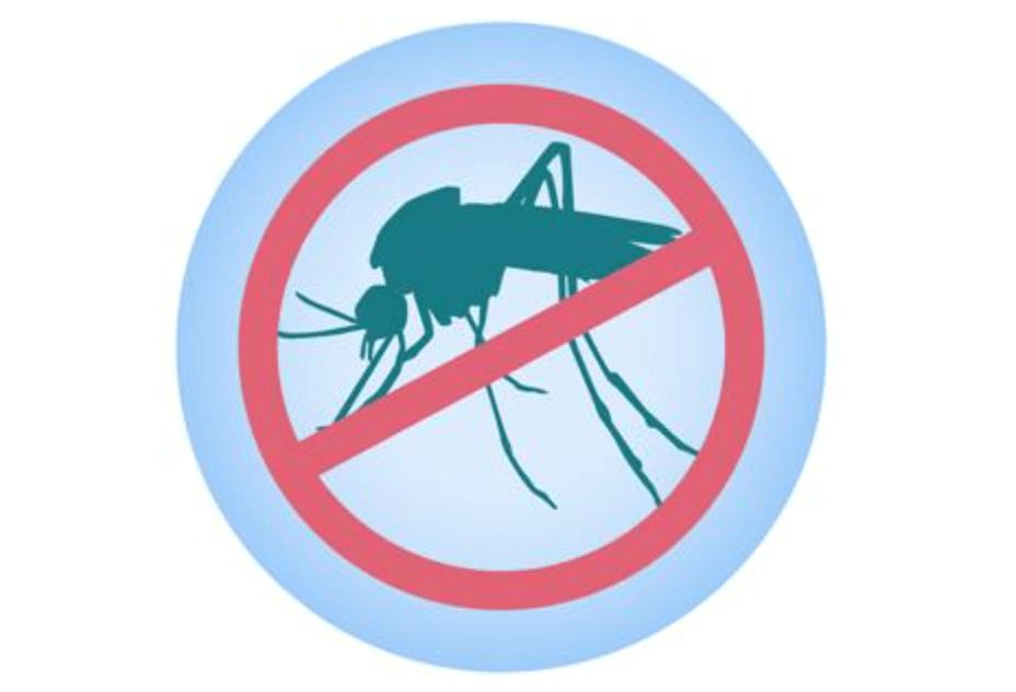 mosquito sign