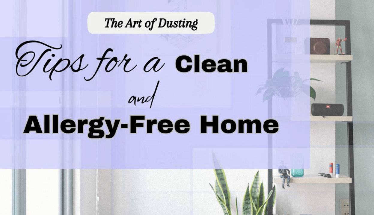 tips for a clean and allergy free home