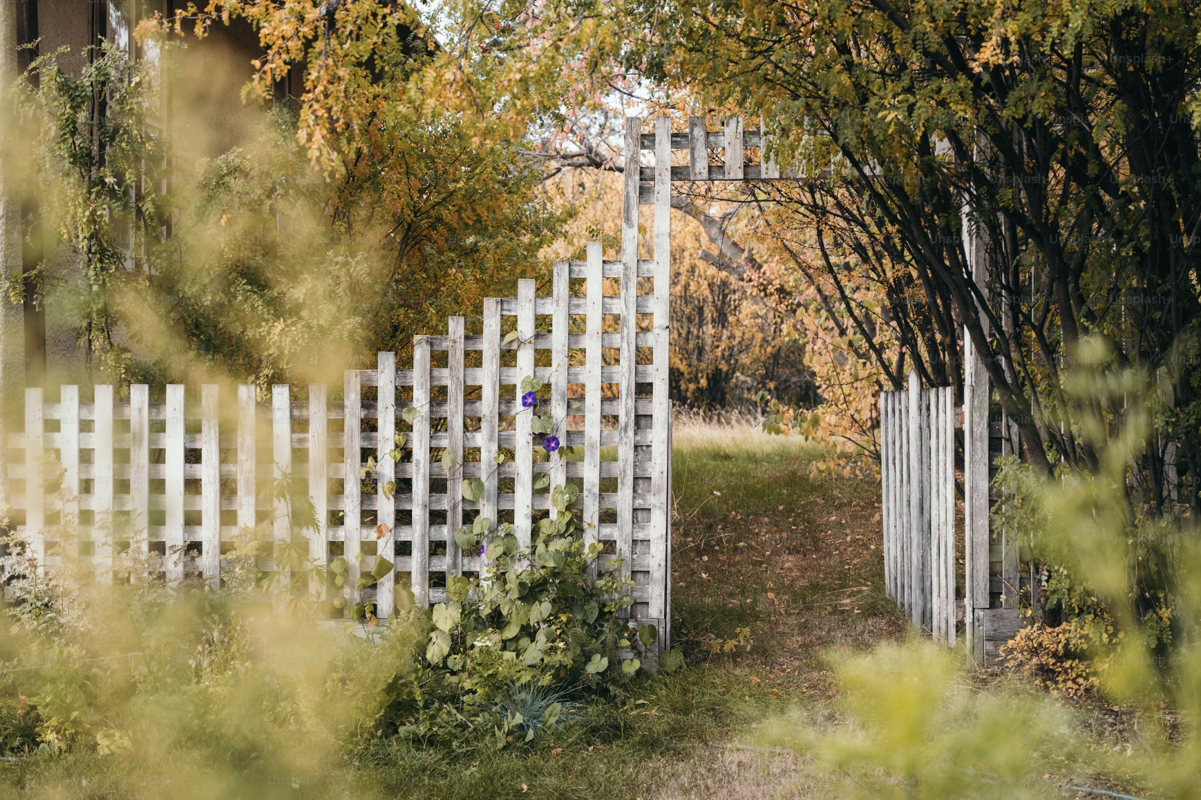 white picket fence in the middle of a field