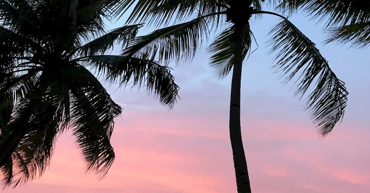 Sun, Sand, and Soundtracks: Crafting Your Vacation Vibe