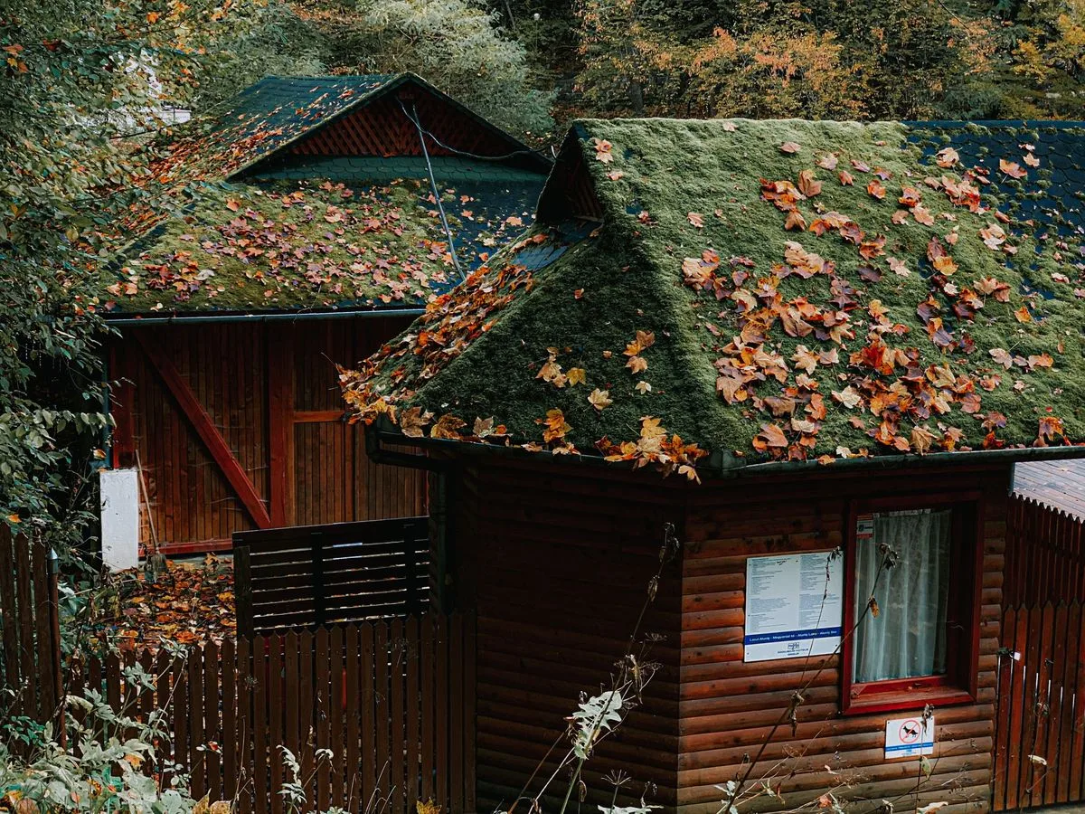 The Autumnal Fragility in 'Mou Aenai Kamo Shirenai'