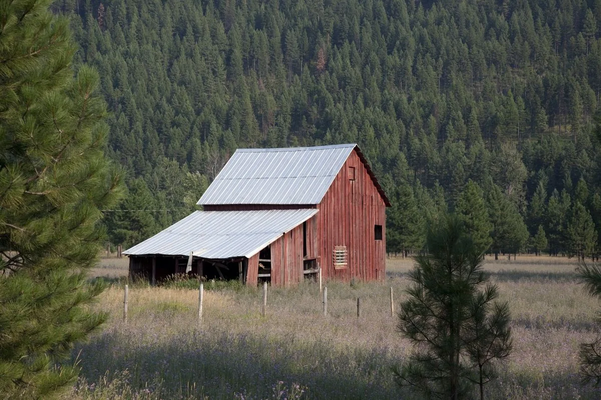 Stomping Grounds: The Places That Shape Us