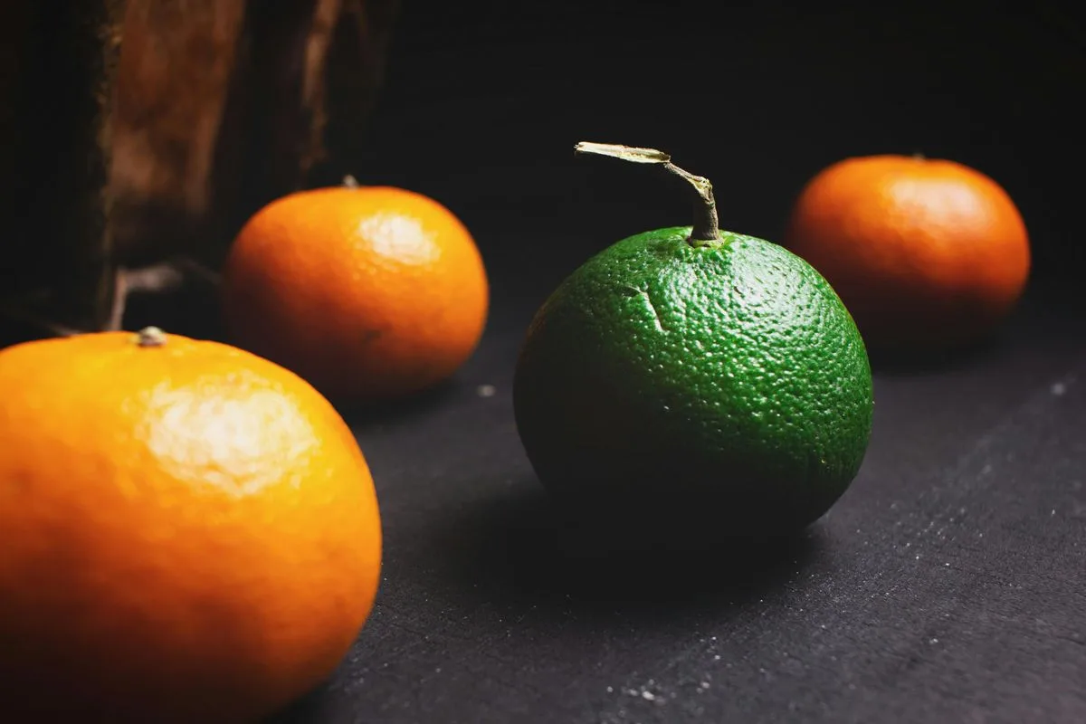 Orange You Glad for Music: Artists Who Got Juiced Up