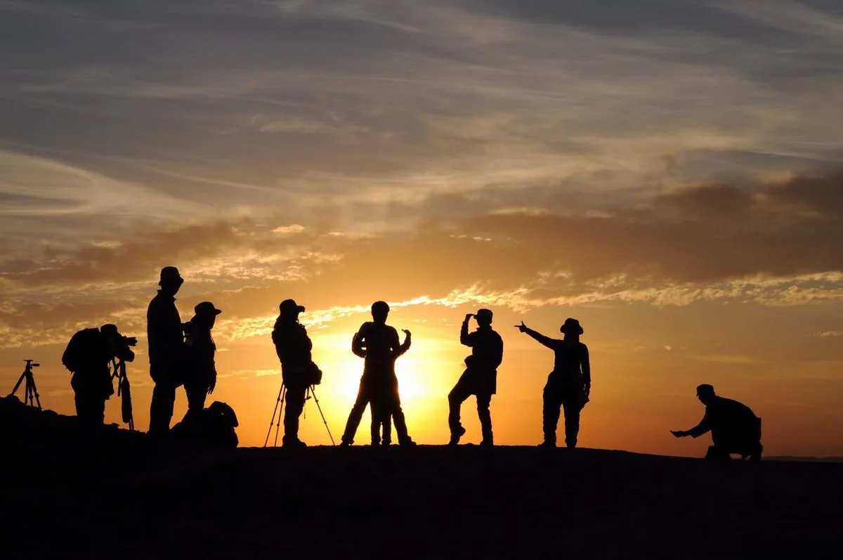 Cultural Reflections: How Darkness and Light Songs Shape Society