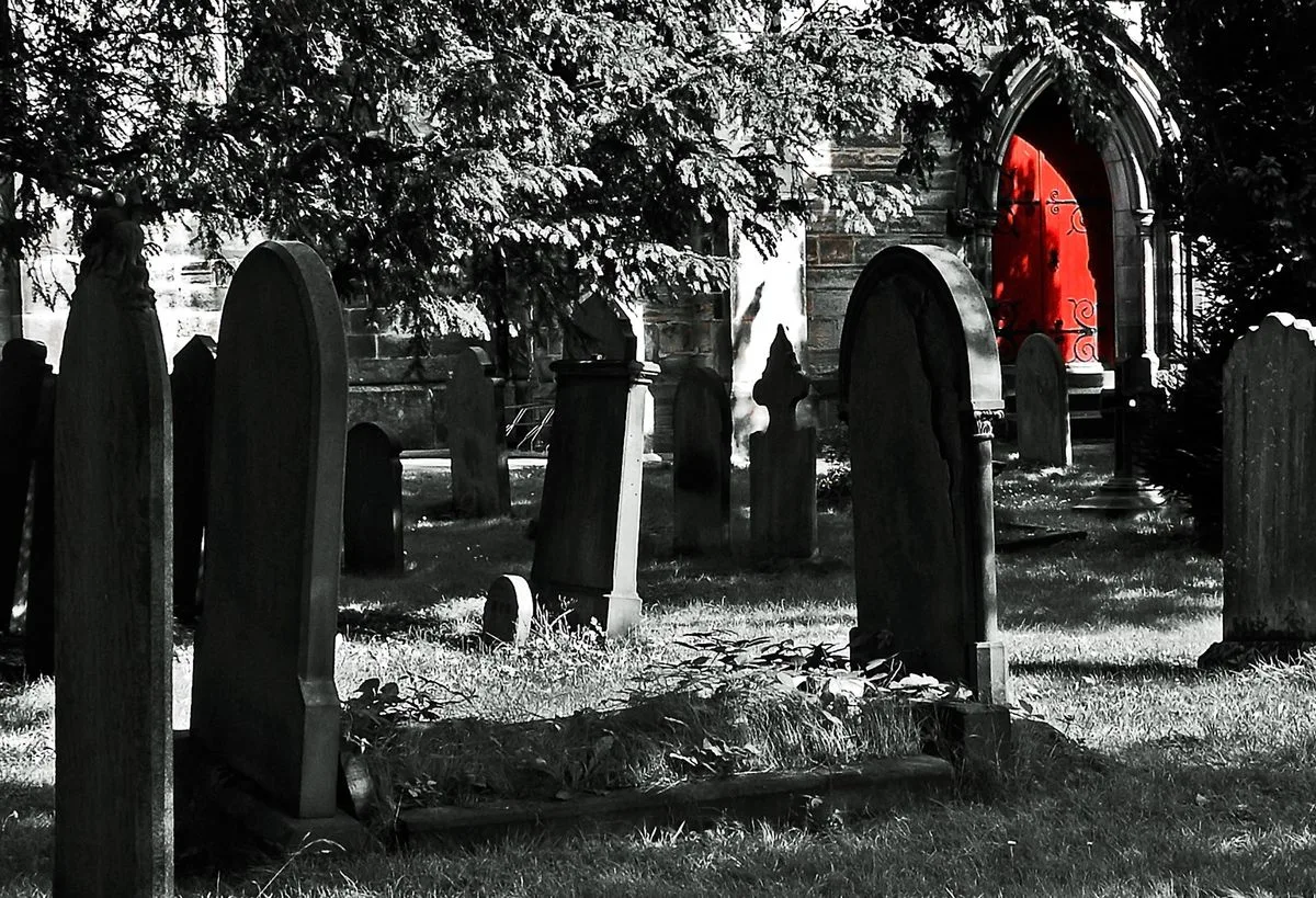 Whispers in the Dark: The Allure of Horror Anthems