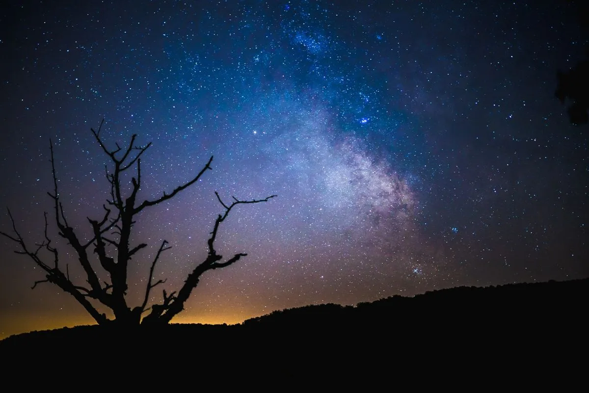 Starry-Eyed Soundtracks: Cinematic Scores to Gaze Upon the Heavens