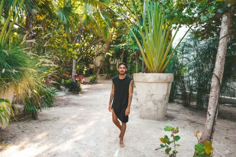 Creating a Tropical Oasis at Home with the Bird of Paradise Palm