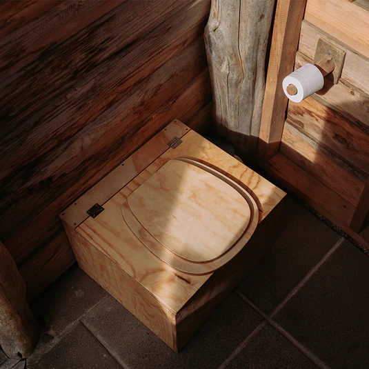 basement toilet